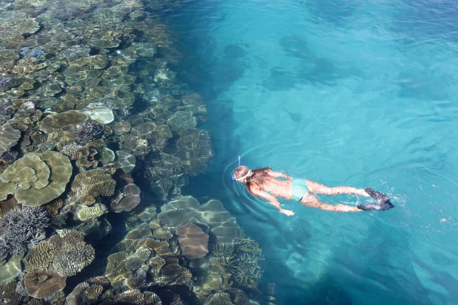 Fiji: South Sea Island Combo Half Day Trip Lunch & Drinks - A short boat ride to South Sea Island