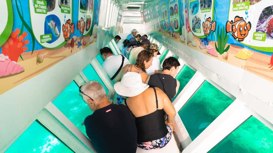 Fiji: South Sea Island Combo Half Day Trip Lunch & Drinks - What the $117 price really covers
