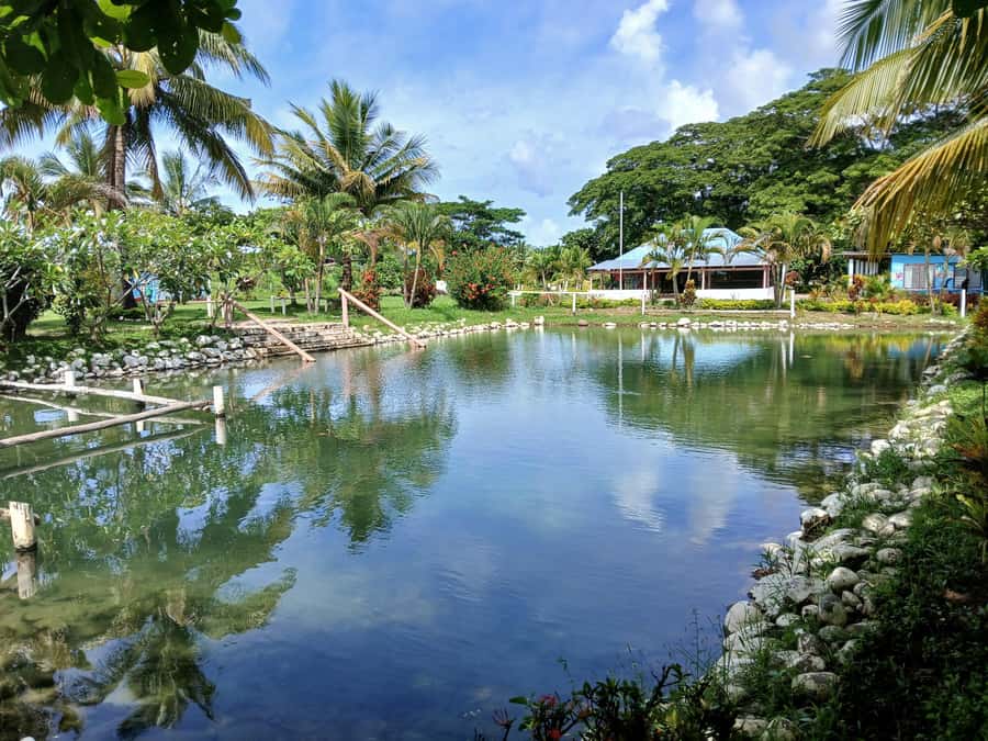 Fiji: Tifajek Mud Pool & Hotspring Tours & Tickets - Who will enjoy this most