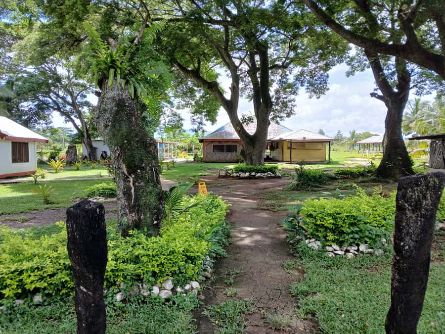 Fiji: Tifajek Mud Pool & Hotspring Tours & Tickets - What to pack for a smoother visit