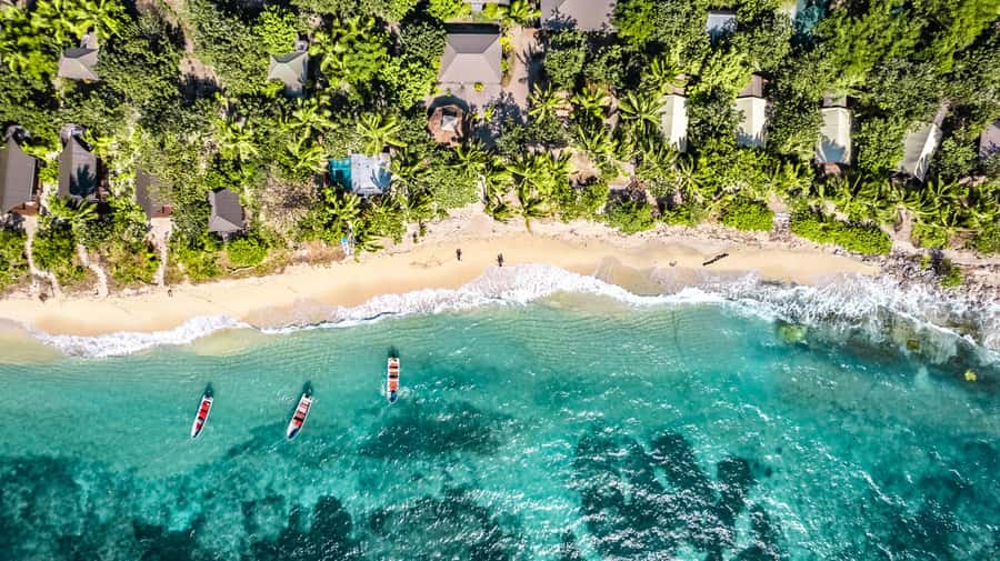 Fiji: Ultimate Encounters Snorkel with Sharks and Lunch - Why the water session is worth the early start
