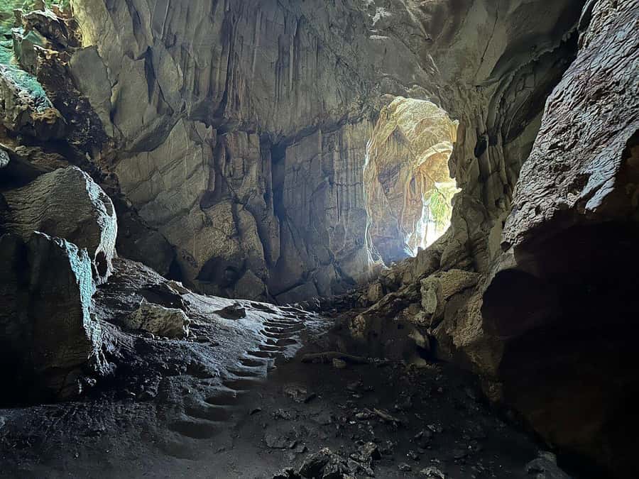 Fiji: Zipline Adventure and Cave Exploration - Sixteen lines over 5km of rainforest