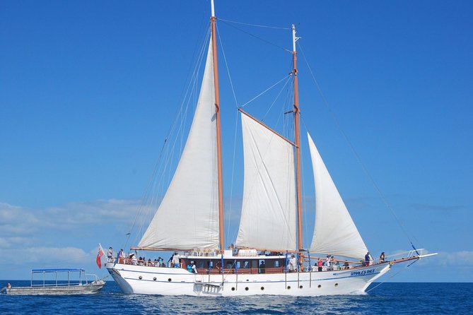 Fijian Islands and Snorkel Full-Day Whales Tale Cruise including Beach BBQ Lunch - Setting Sail on the Whale’s Tale
