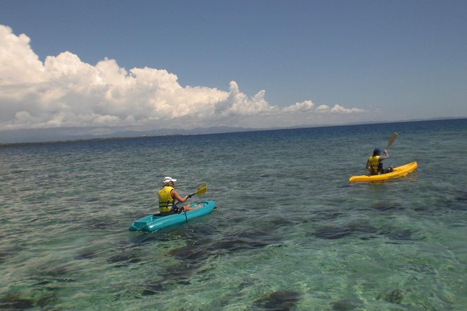 Fijian Islands and Snorkel Full-Day Whales Tale Cruise including Beach BBQ Lunch - What the Crew Adds to the Day