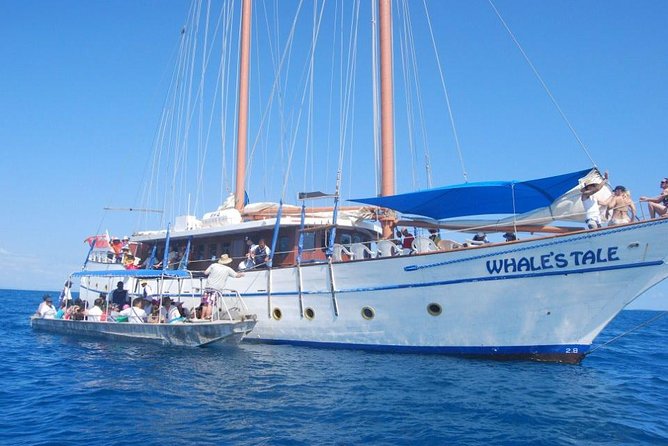 Fijian Islands and Snorkel Full-Day Whales Tale Cruise including Beach BBQ Lunch - Snorkeling Along the Coral Reef