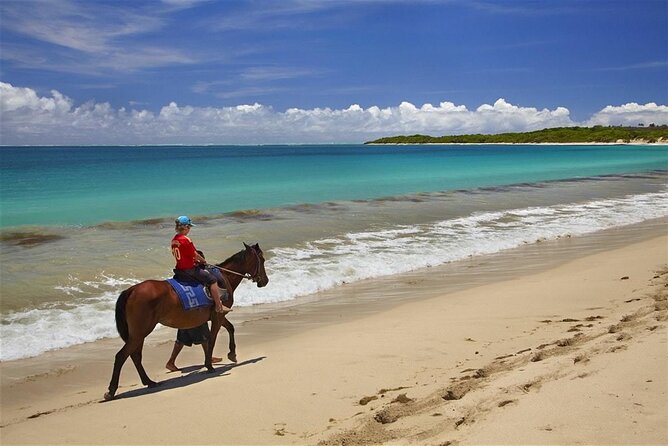 Fijian pottery crafting Village Experience & Natadola Beach Tour - Natadola Beach: two hours to set your own pace