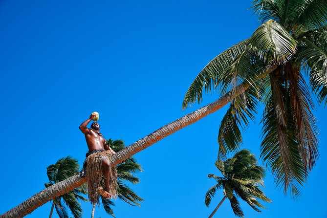Full Day Cultural Island Tour with Lunch & Cruise - The lovo opening and buffet lunch