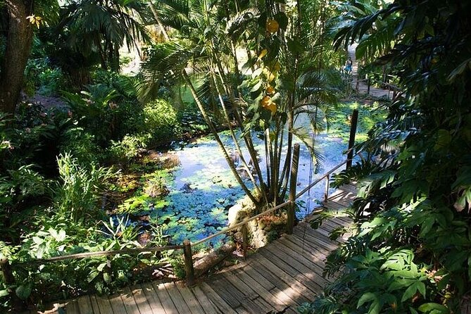 Full Day Discover Nadi Tour ( From Sigatoka Coral coast Hotels ) - Viseisei connects Fiji to its earliest stories