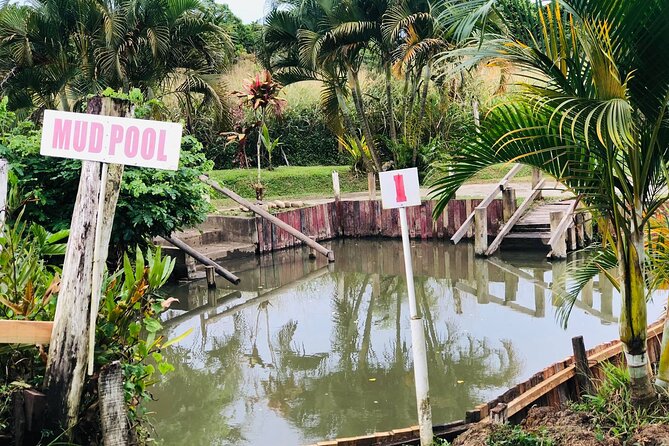 Garden Of Sleeping Giant ,Mudpool &Temple Tour From Coral Coast - What the price really covers