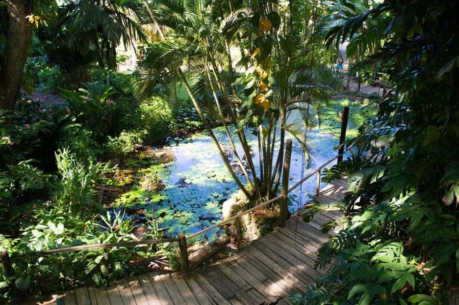 Garden of Sleeping Giant with Tifajek Mudpool Hotspring Tour - Warm water at the natural hot spring pools