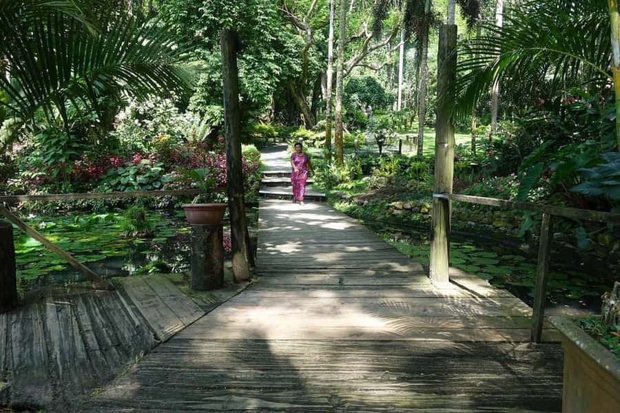 Garden of Sleeping Giant with Tifajek Mudpool Hotspring Tour - Who will enjoy this Fiji day trip?