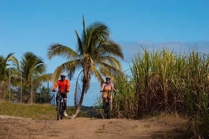 Guided E-bike Tour - Leaving Nadi for Fiji’s rural interior