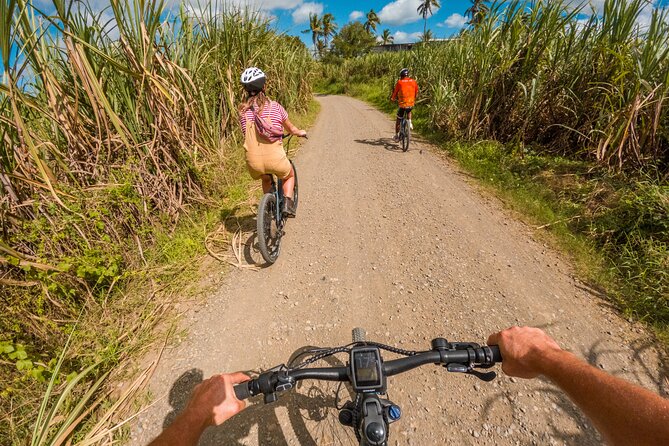 Guided E-bike Tour - Gravel tracks, steep hills, and rocky streams