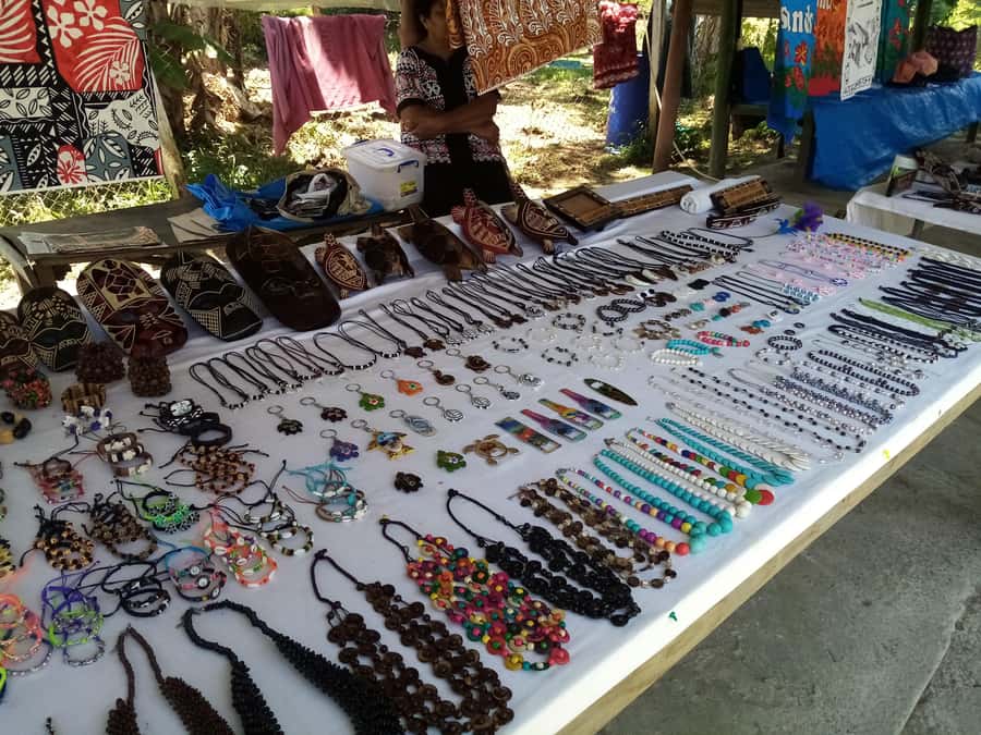 Guided Lautoka Shore Excursions - What $182 really buys you