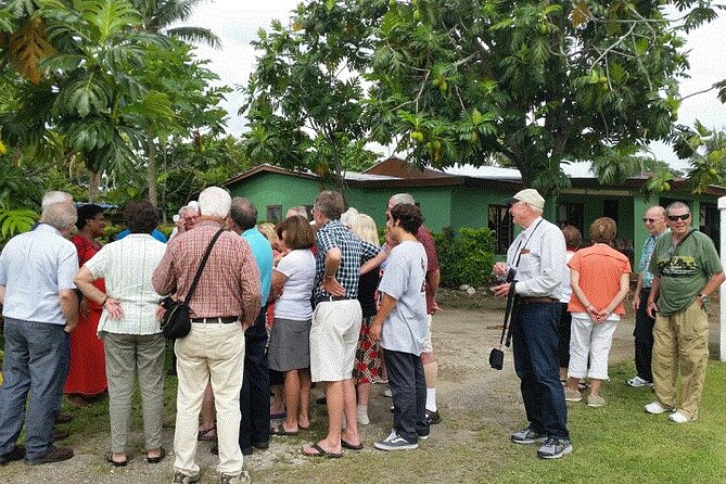 Half Day Mudpools, Veseisei Fijian Village, Gardens of Sleeping Giants &Shopping - Starting with Veseisei’s Fijian story