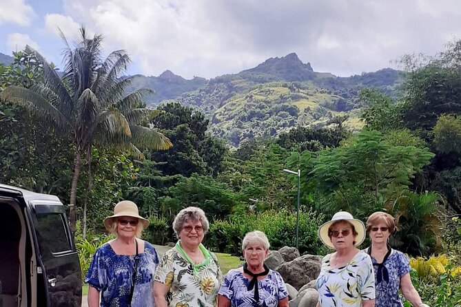 Half Day Mudpools, Veseisei Fijian Village, Gardens of Sleeping Giants &Shopping - Getting muddy at Sabeto Hot Springs