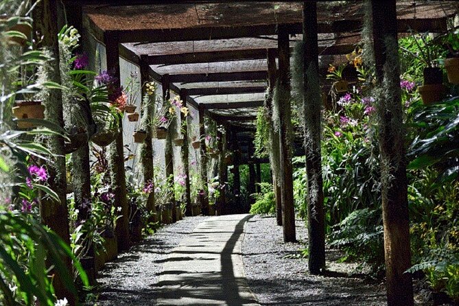 Half Day Mudpools, Veseisei Fijian Village, Gardens of Sleeping Giants &Shopping - Transport, timing, and group size