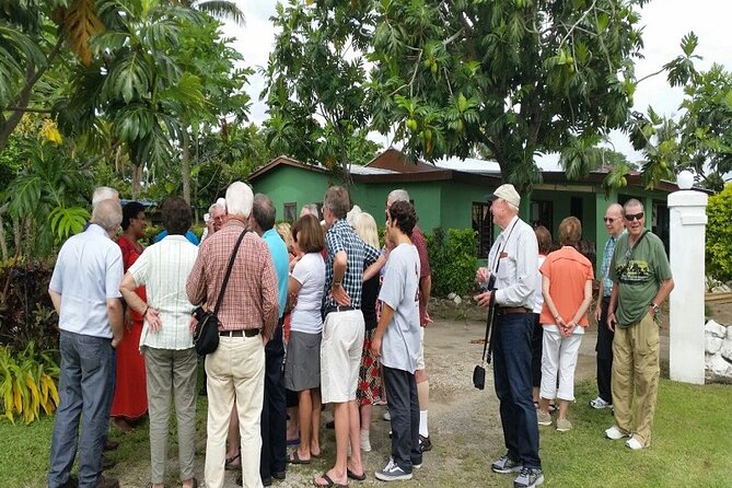 Half Day Nadi "Historical and Cultural Tour" with Village,Temple,Gardens&Markets - Walking among orchids at the Gardens of the Sleeping Giant