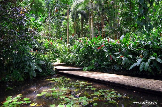 Half Day Nadi Sightseeing & Mud Pool Tour - Key points to know before booking