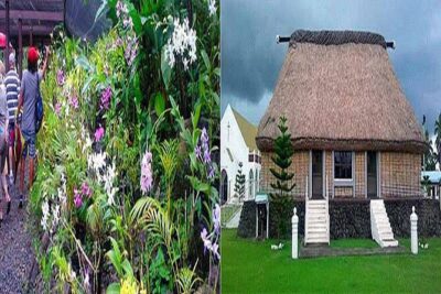 Half Day Nadi Tour incls Sri Siva Temple, Orchid Gardens,Local Village & Markets