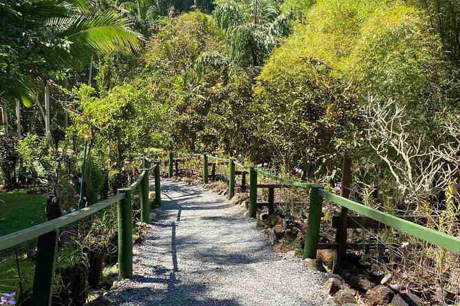 Half Day Nadi Tour Temple, Market, Gardens and Mud Pools - Why this four-and-a-half-hour Nadi tour works