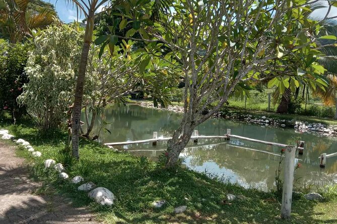 Half Day Nadi Tour Temple, Market, Gardens and Mud Pools - What the price includes, and what it does not