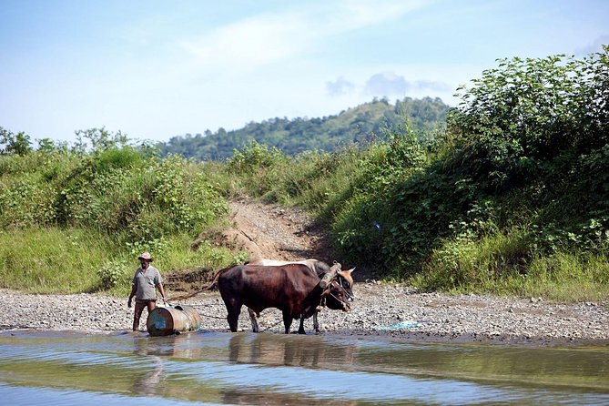 Half Day Sigatoka River Jetboat & Village Tour with Lunch & Transfers - Why the people make a difference