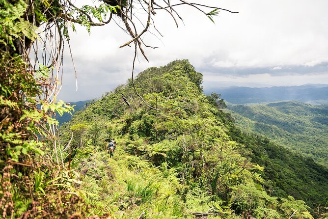 Hiking Adventure including Fiji's Highest Mountain and 3 Nights - Why this highlands trek is worth your time