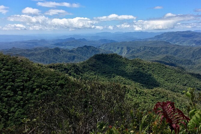 Hiking Adventure including Fiji's Highest Mountain and 3 Nights - Day 1: Navai and your first village welcome