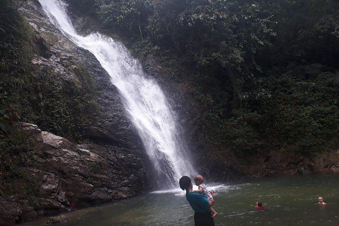 iconic waterfall tour - Why this Coral Coast combination works