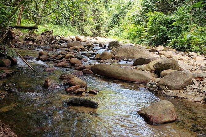 iconic waterfall tour - Sigatoka town for shopping and lunch