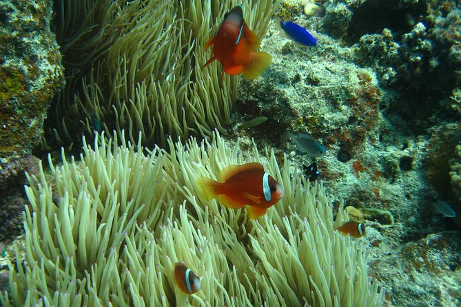 Introductory Scuba Dive experience - Whitetip Marine Adventures - Learning the basics on the boat