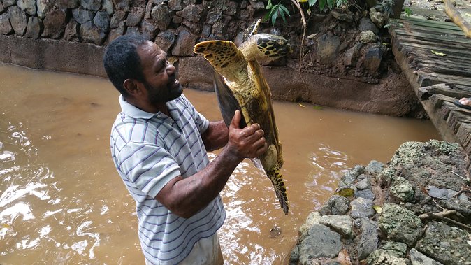 Kiara Package tour - Should you book the Kiara Package tour?