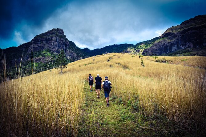 Koroyanitu National Heritage Park Fiji - Hike - Waterfall - Plants, birds, and useful local knowledge