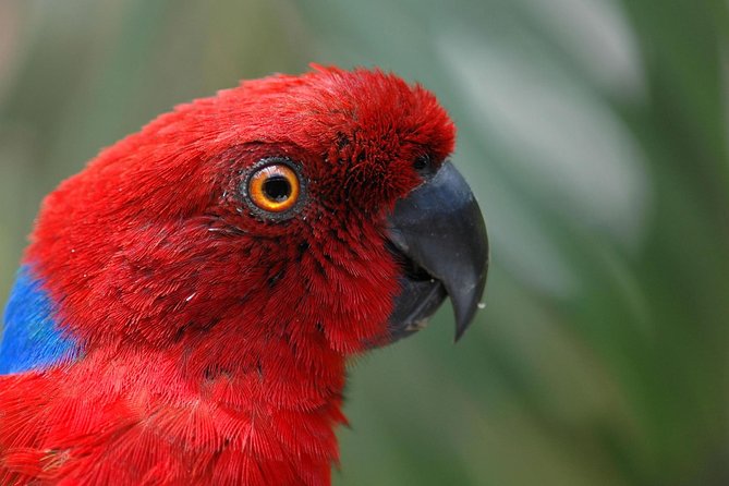 Kula Eco Park Admission - Key points to know before you go