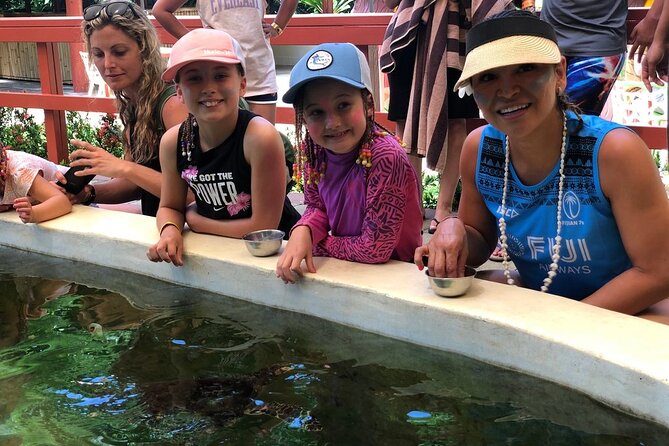 Kula Eco Park Admission - Feeding turtles at Kula WILD Adventure Park
