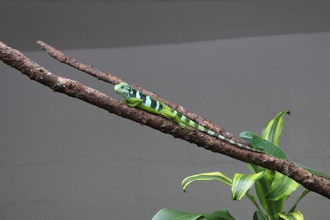 Kula Eco Park Admission - Café, restrooms, and a practical family break