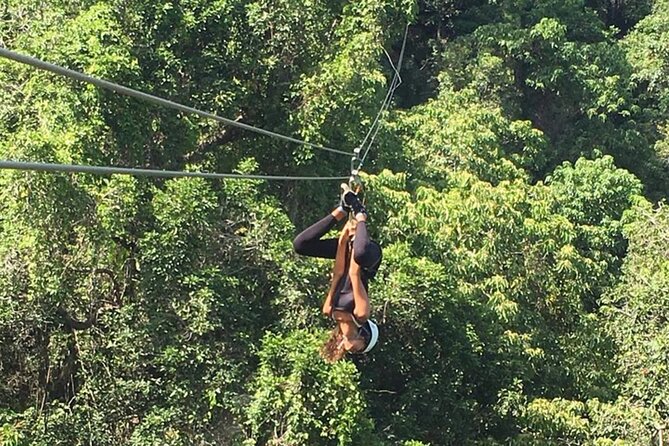 Largest Zipline in South Pacific & Cave Exploration Coral Coast - Who will enjoy this Coral Coast excursion?