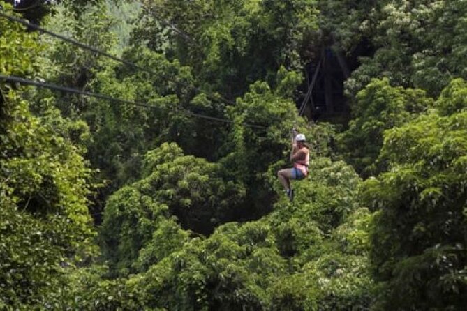 Largest Zipline in South Pacific & Cave Exploration in Nadi - Sixteen cables, from cautious starts to Fiji Airways