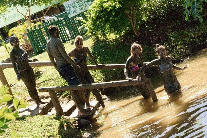 Mud Pools-Nadi Private Therapeutic Pools, Gardens, Temple, Market &Shopping Tour - Nadi Produce Markets: a quick taste of daily life