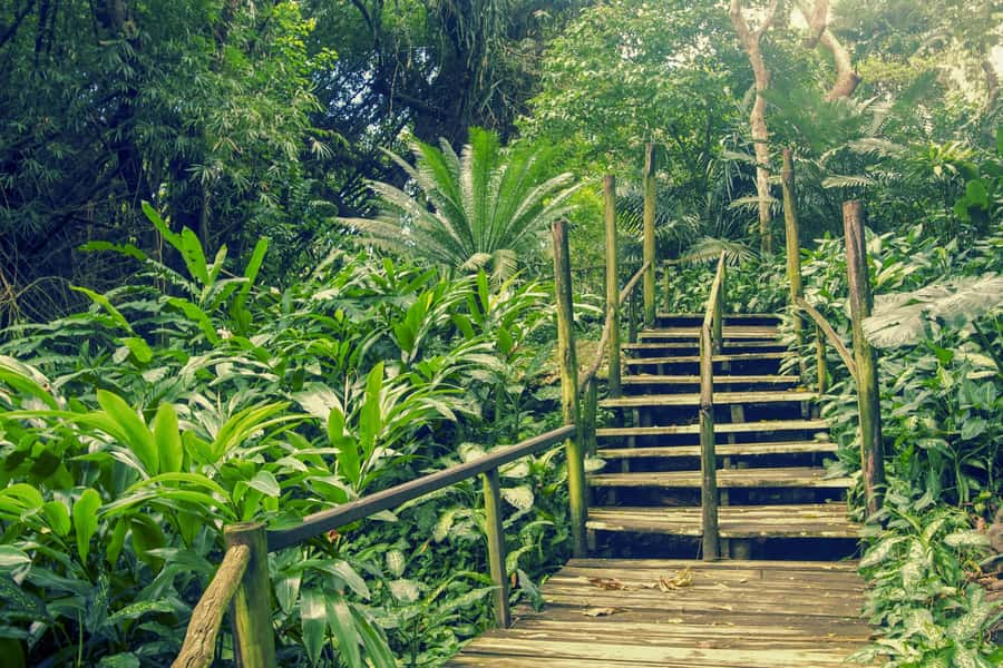 Nadi: Garden Village Hot Spring & Temple Highlights Tour - Why this tour works for a first day in Nadi