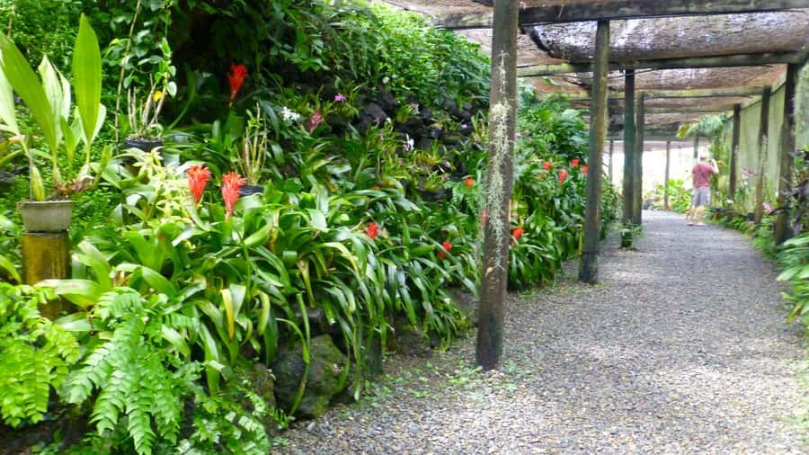 Nadi: Garden Village Hot Spring & Temple Highlights Tour - Who should book it, and who should skip it