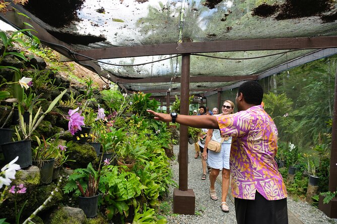 Nadi Heritage Tour - Seeing Viseisei and Fiji’s first settlers