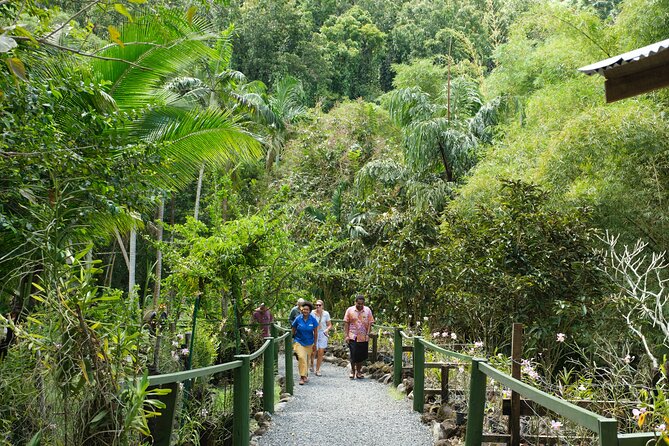 Nadi Heritage Tour - How the guides shape the experience
