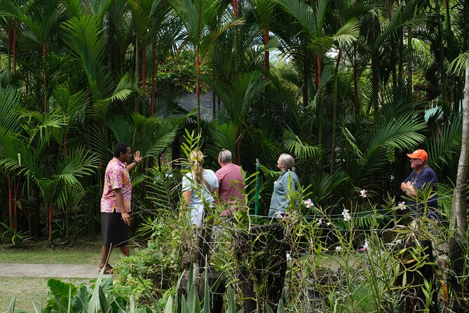 Nadi Heritage Tour - Who should book this Nadi tour?