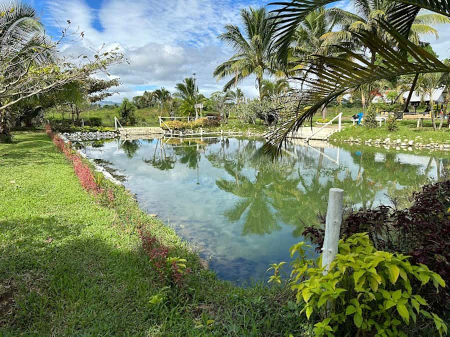 Nadi: Mud Pool and Hot Spring Private Tour - Why the Sabeto mud pools make a good half-day outing