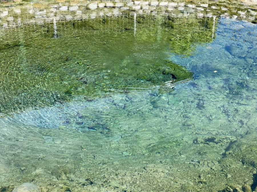 Nadi: Mud Pool and Hot Spring Private Tour - Who will enjoy this private Fiji tour?