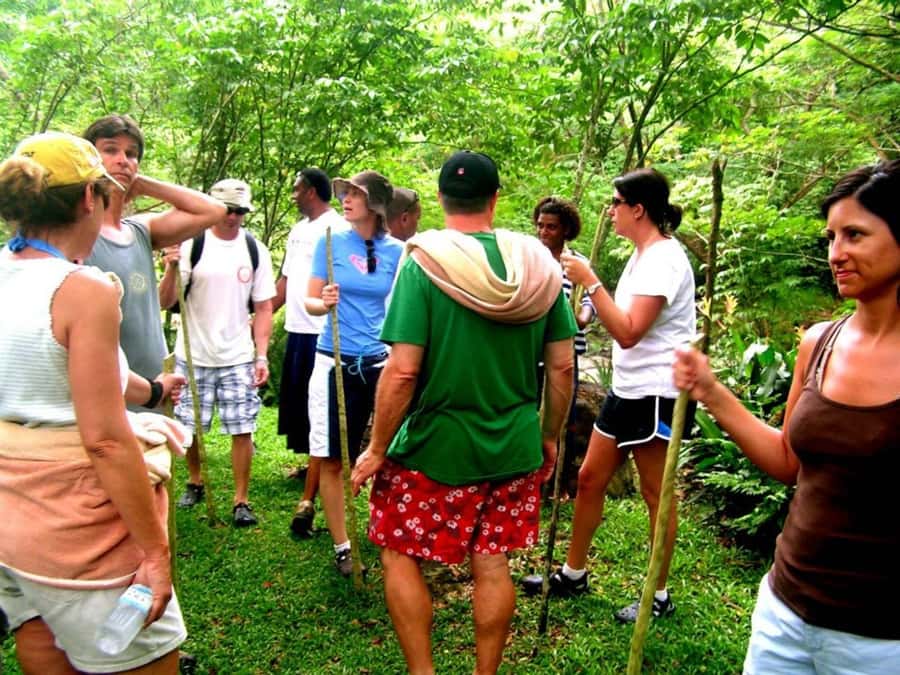 NADI: Nalesutale Village Half Day Tour - Taking the 4WD toward Mount Batilamu