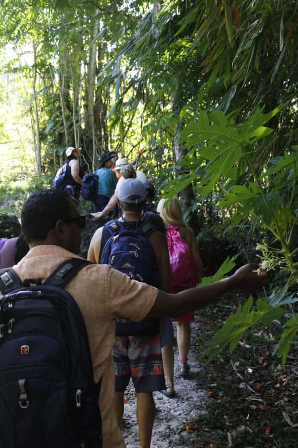 NADI: Nalesutale Village Half Day Tour - A Fijian-style village lunch