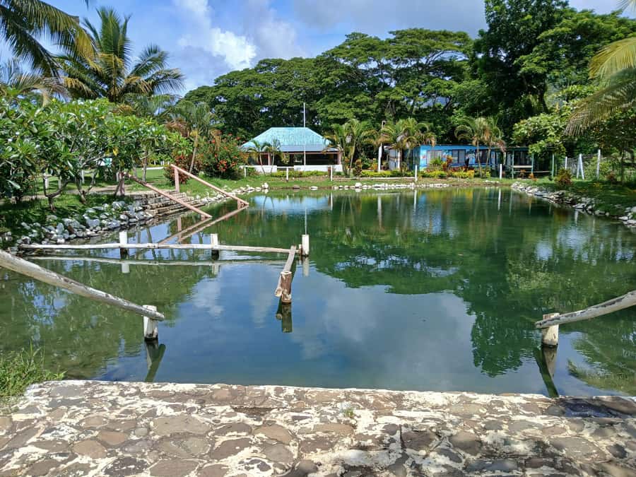 NADI-SABETO: Tifajek Hot Spring and Mudpool Natural Spa - The wartime story behind the springs